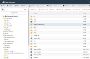 cpanel file manager dashboard